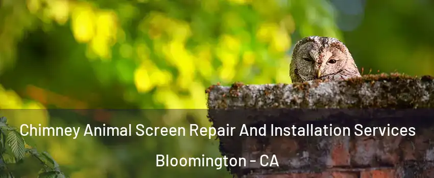  Chimney Animal Screen Repair And Installation Services Bloomington - CA