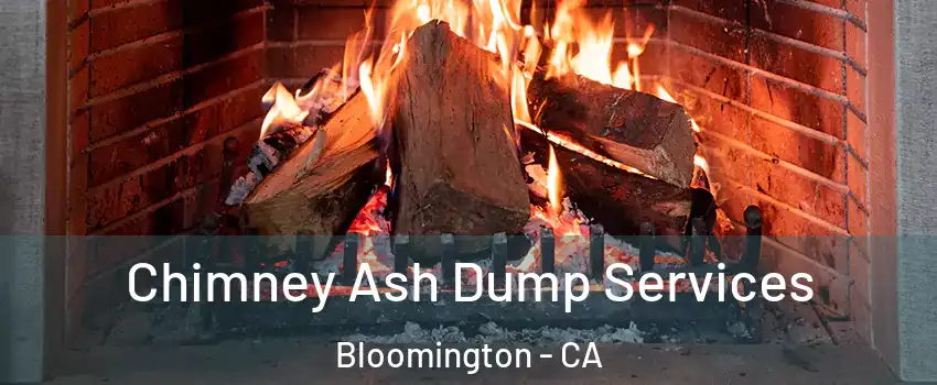  Chimney Ash Dump Services Bloomington - CA