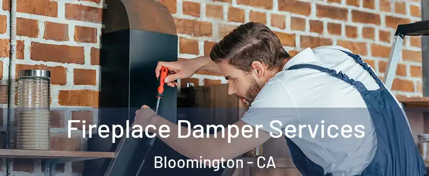  Fireplace Damper Services Bloomington - CA
