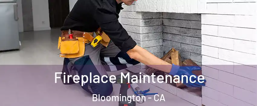  Fireplace Maintenance Bloomington - CA