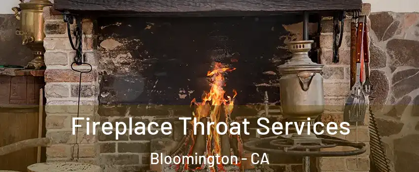  Fireplace Throat Services Bloomington - CA