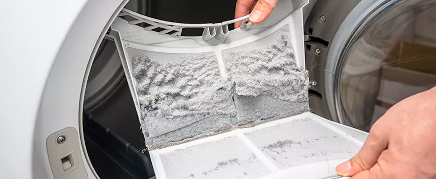 Best Dryer Lint Removal Company in Bloomington, California