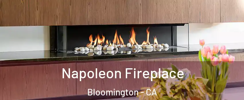  Napoleon Fireplace Bloomington - CA